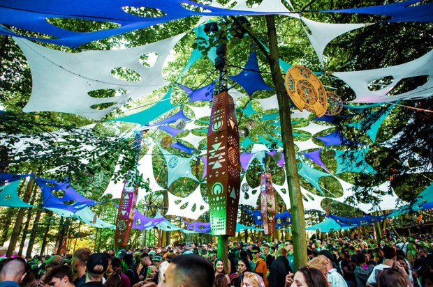 forest stage